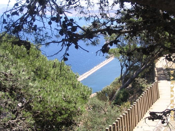 ORAN SANTA CRUZ (104).jpg